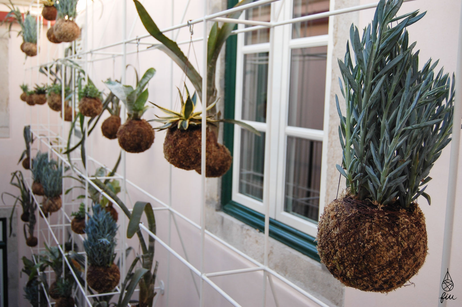Instalação de plantas fiu suspensas no My Story Hostel, fiu jardins, lda. fiu jardins, lda. Modern Bahçe