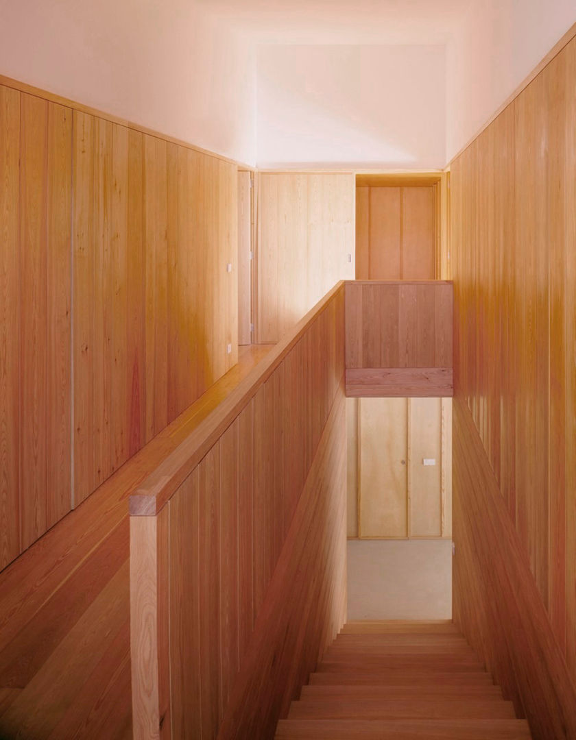 HDM House, SAMF Arquitectos SAMF Arquitectos Modern corridor, hallway & stairs Wood Wood effect