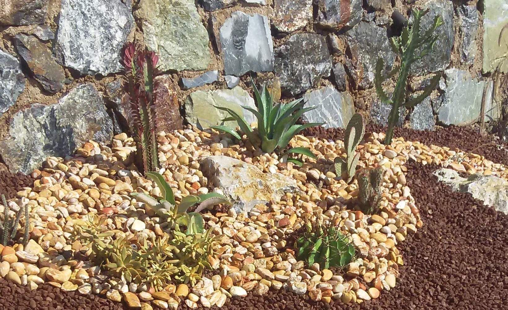 sihirlipeyzaj, sihirlipeyzaj sihirlipeyzaj 庭院 石器 植物與花
