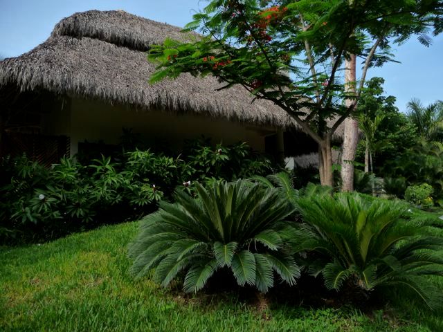 Villa in Nuevo Vallarta, Tropical America landscaping Tropical America landscaping Taman Modern Plants & flowers