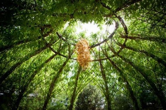 Gazebo, Dotto Francesco consulting Green Dotto Francesco consulting Green Rustic style garden