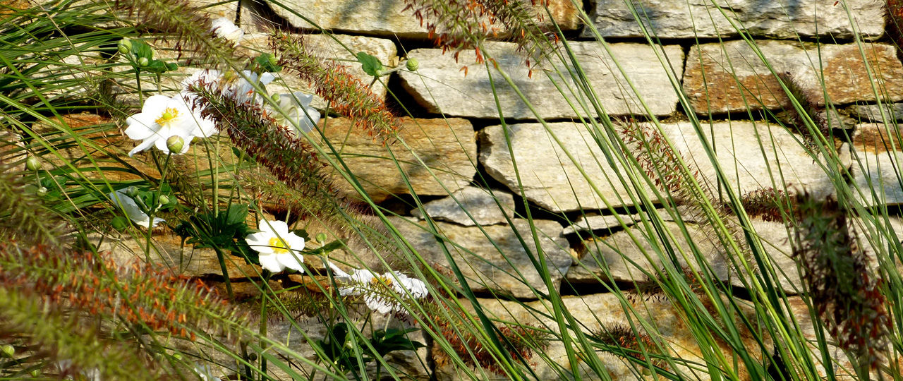 Privatgarten - Fam. Ch, BEGRÜNDER BEGRÜNDER Jardins modernos