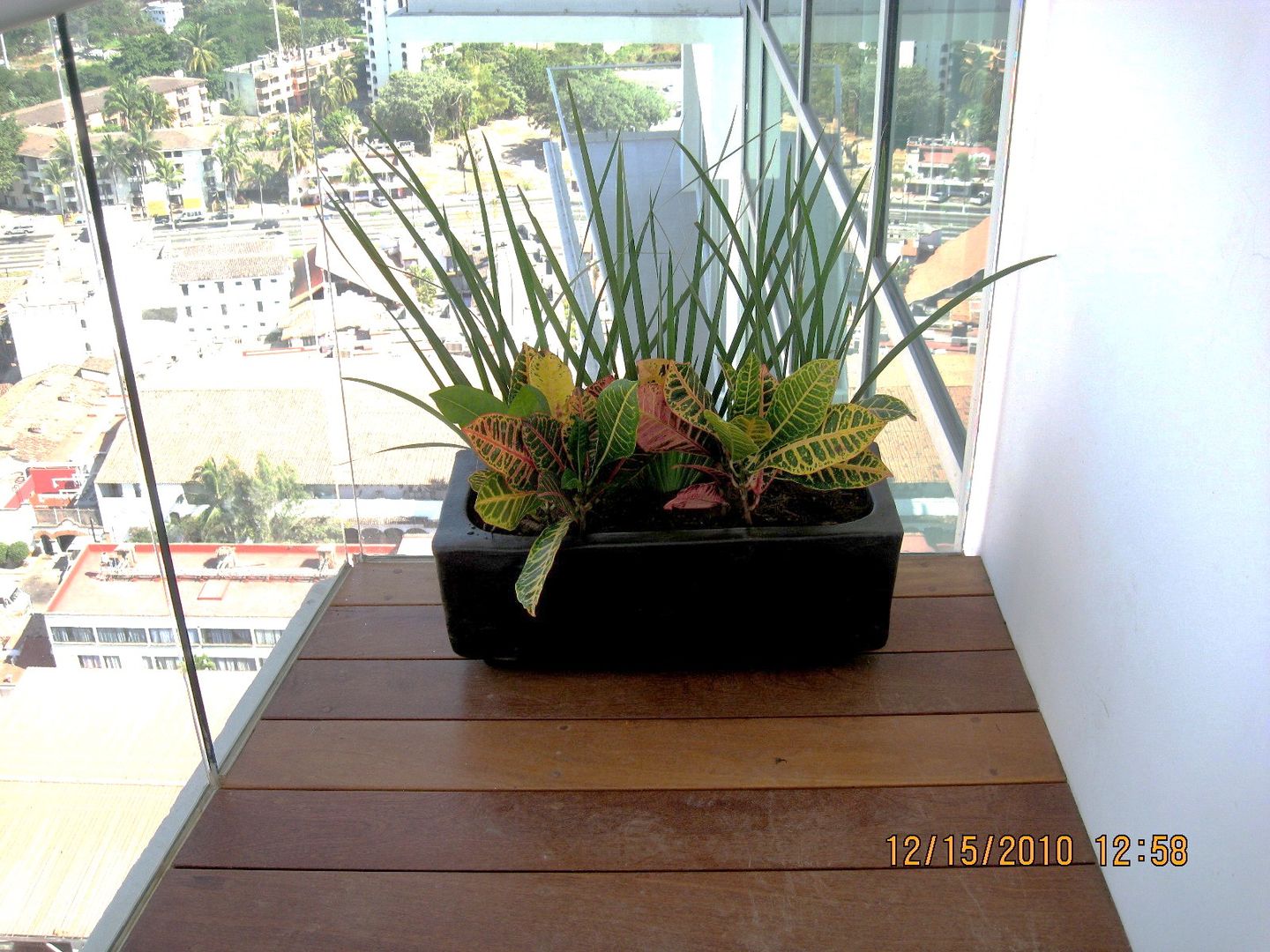 MACETA CON PLANTAS EN BALCON Tropico Jardineria Jardines tropicales