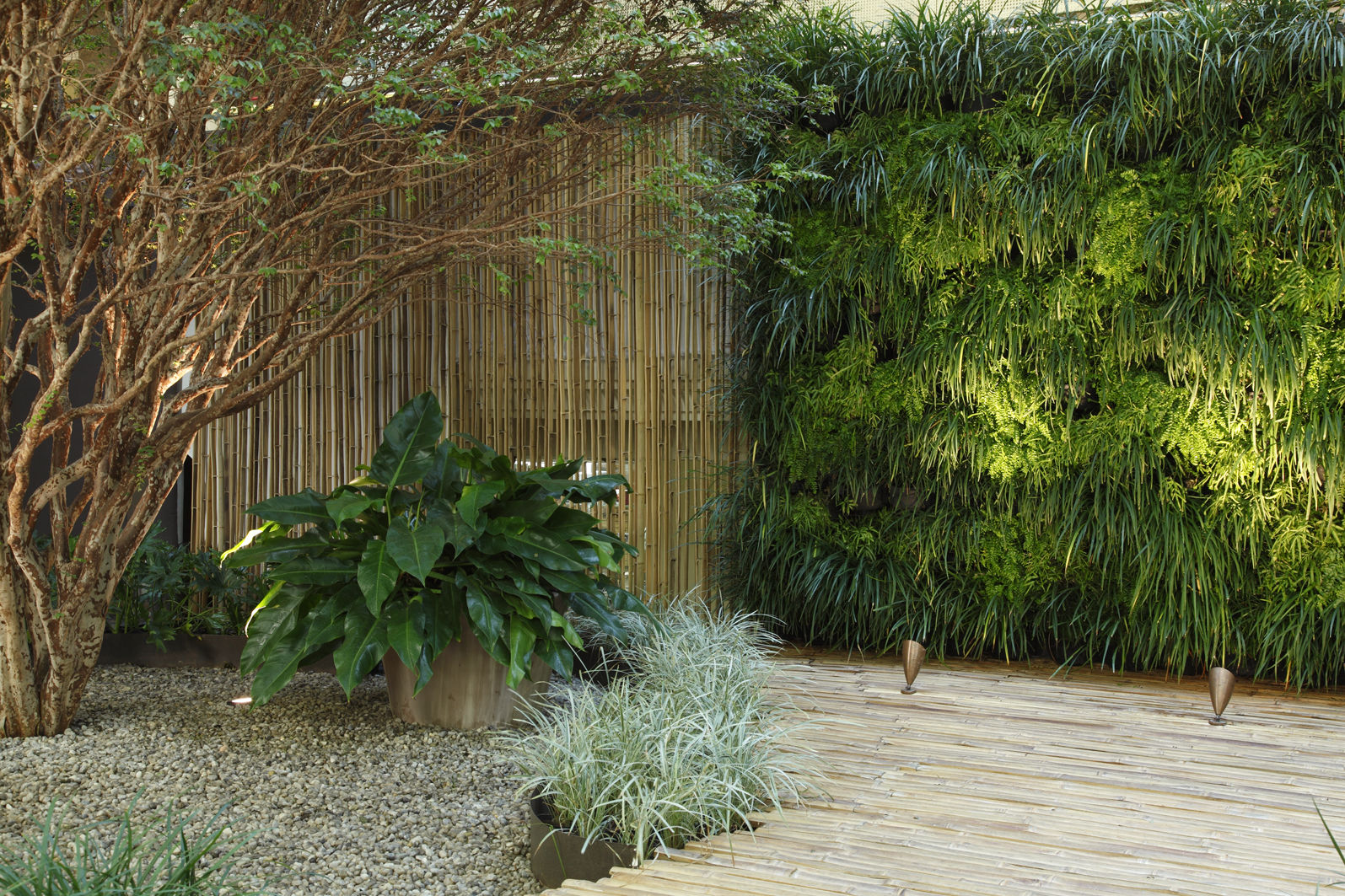 homify Jardins minimalistas Bambu Verde