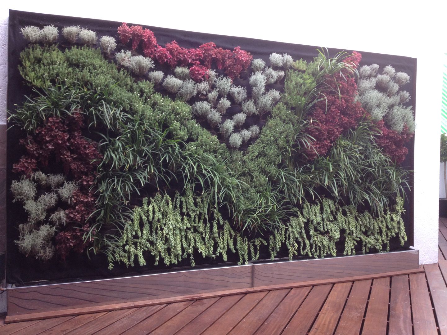 Increibles Roof Gardens, F.arquitectos F.arquitectos Modern balcony, veranda & terrace