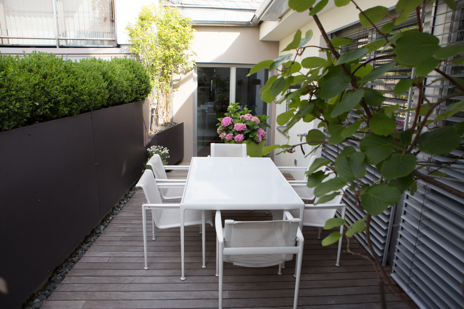 Dachterrasse in der Mitte Wiens, BEGRÜNDER BEGRÜNDER モダンデザインの テラス