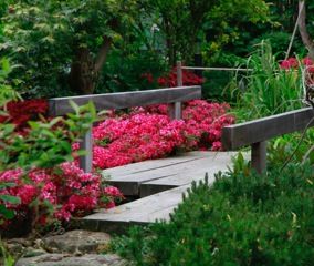 Zentuin, Bouwhuis en Tuin hoveniersbedrijf Bouwhuis en Tuin hoveniersbedrijf Jardines de estilo asiático