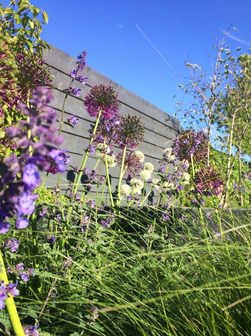 Tuin in Rhoon, Hoveniersbedrijf Tim Kok Hoveniersbedrijf Tim Kok Giardino moderno