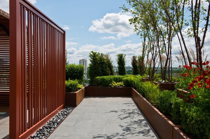 Chelsea Creek - copyright St George Plc Aralia Modern Garden Wood Wood effect roof terrace,rooftop garden,roof garden,garden design,landscape architecture,landscape architect,landscape design,garden designer,architecture