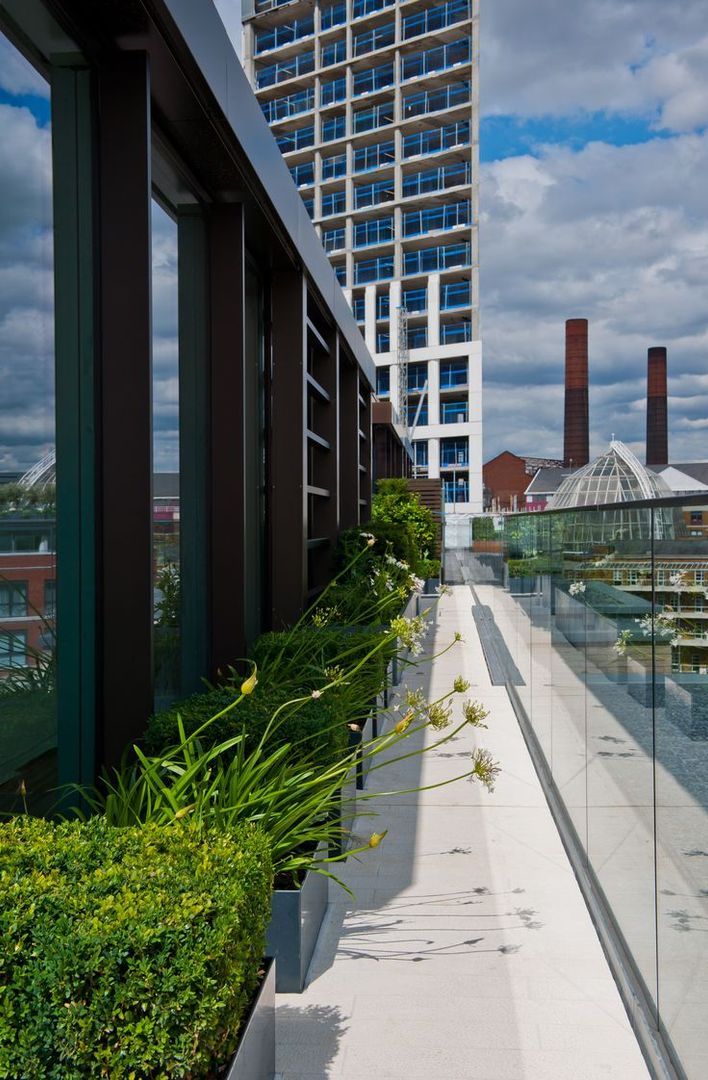 Chelsea Creek - copyright St George Plc Aralia Jardines modernos: Ideas, imágenes y decoración Vidrio roof terrace,rooftop garden,roof garden,garden design,landscape architecture,landscape architect,landscape design,garden designer,architecture