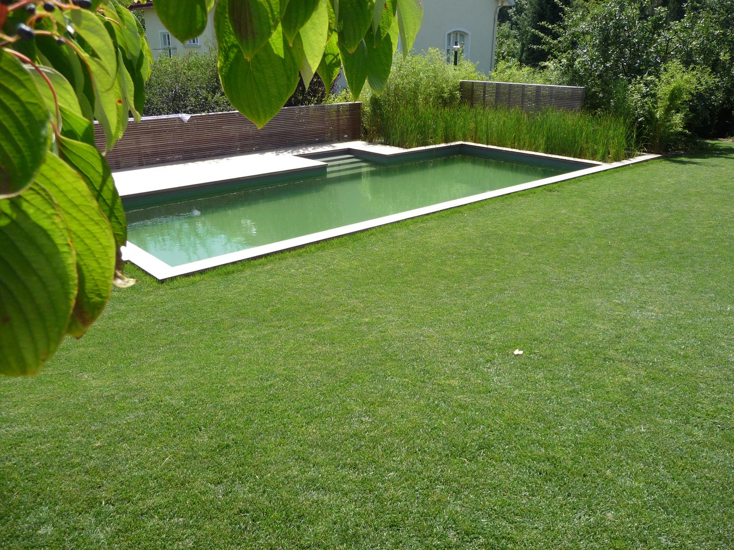 Newpool , BEGRÜNDER BEGRÜNDER Modern Pool