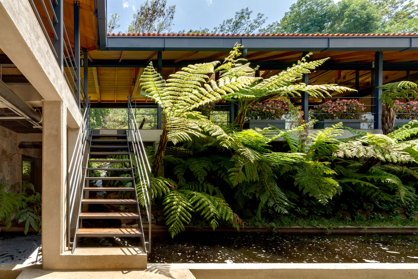 Laboratorio Botánico El Humedal, TAAR / TALLER DE ARQUITECTURA DE ALTO RENDIMIENTO TAAR / TALLER DE ARQUITECTURA DE ALTO RENDIMIENTO Modern corridor, hallway & stairs