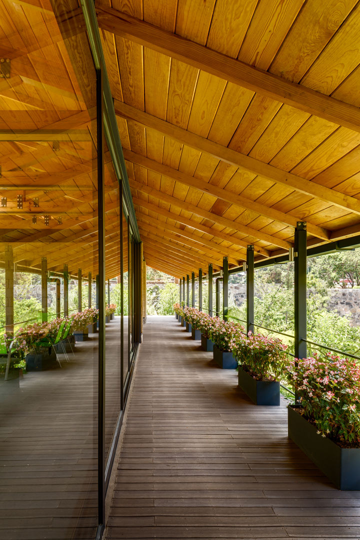 Laboratorio Botánico El Humedal, TAAR / TALLER DE ARQUITECTURA DE ALTO RENDIMIENTO TAAR / TALLER DE ARQUITECTURA DE ALTO RENDIMIENTO Коридор