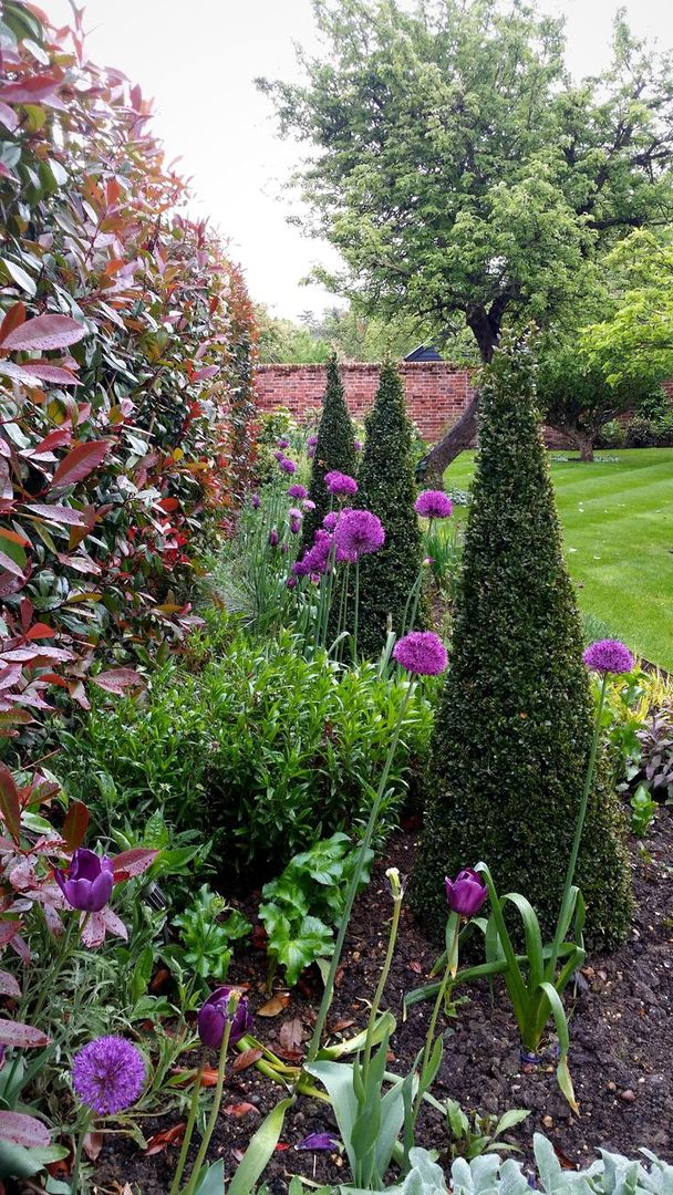 Felsted Place Aralia Minimalist style garden Bamboo Green