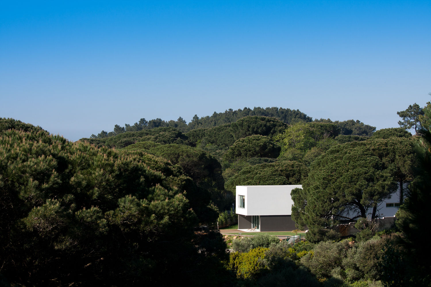 Godiva House, Empty Space architecture Empty Space architecture Casas modernas: Ideas, imágenes y decoración Aluminio/Cinc