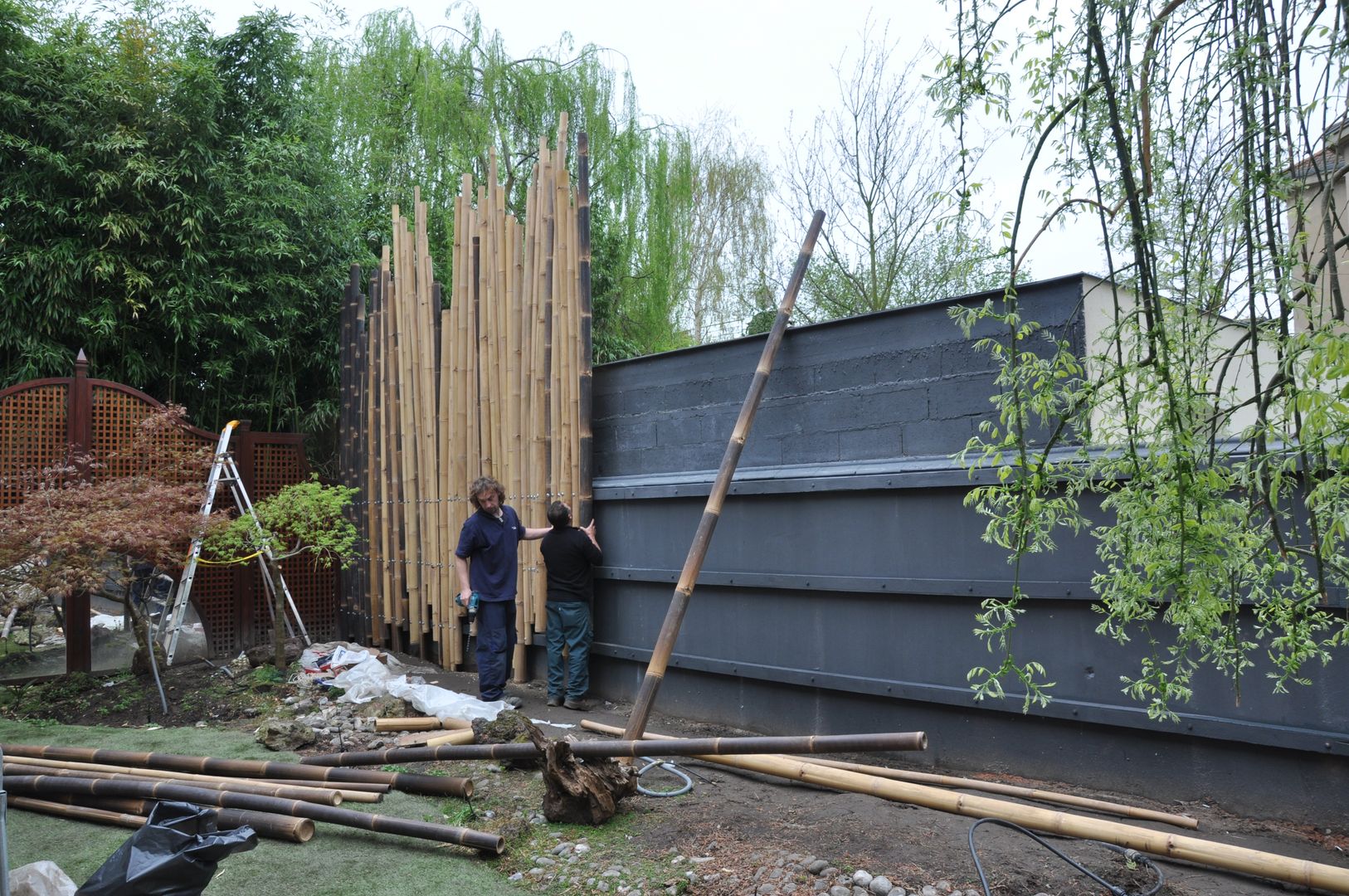 Palissade en bambou en construction pour jardin japonais Taffin Jardin asiatique Bambou Vert