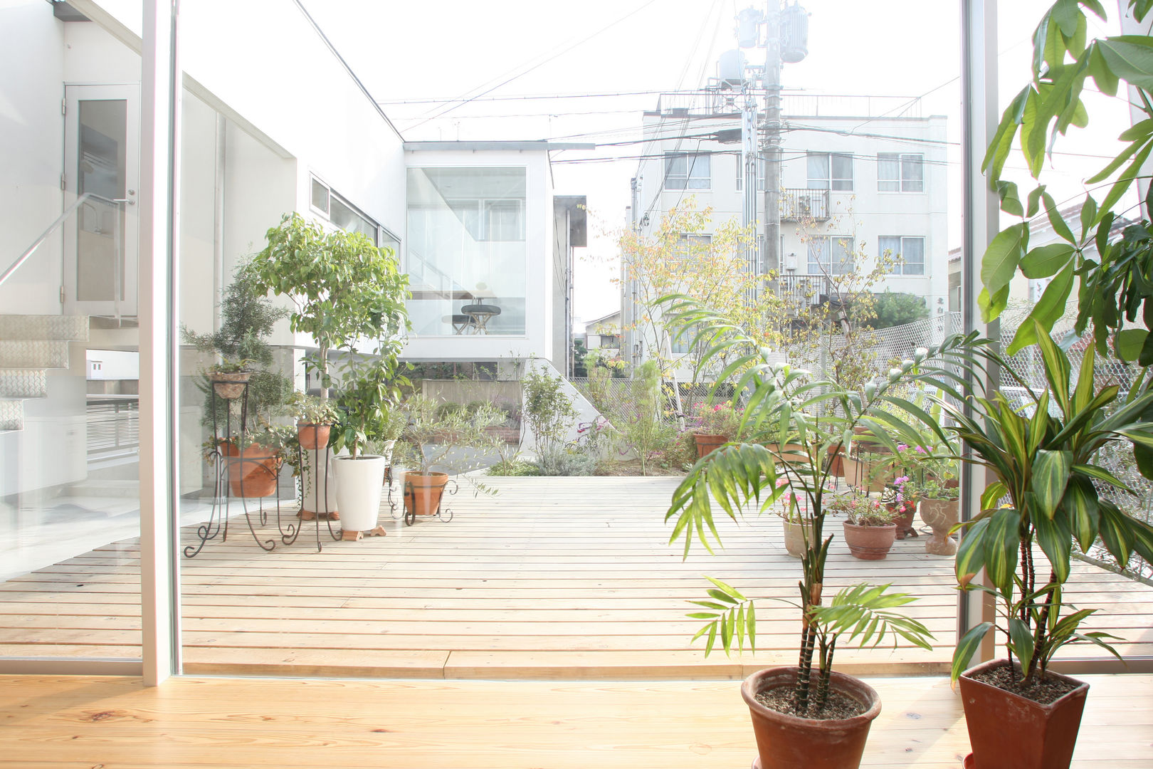 ミラボと実家 ／a couples working studio & their parents home, 3--lab 3--lab Balcones y terrazas de estilo moderno