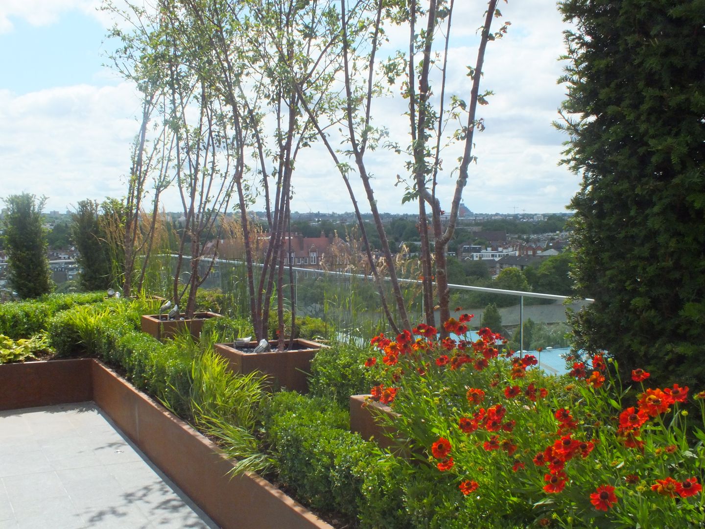 Chelsea Creek - copyright St George Plc Aralia Modern Garden Stone roof terrace,rooftop garden,roof garden,garden design,landscape architecture,landscape architect,landscape design,garden designer,architecture