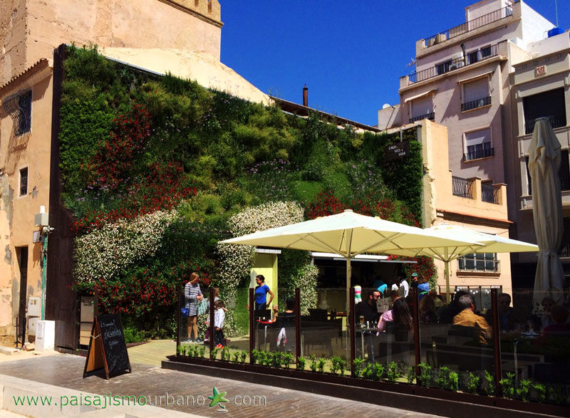 Jardín vertical en Elche, Jardines Verticales Paisajismo Urbano Jardines Verticales Paisajismo Urbano พื้นที่เชิงพาณิชย์ บาร์และคลับ