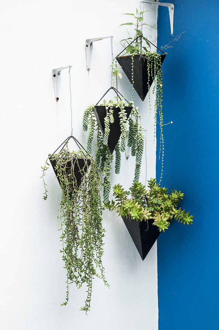 homify Eclectic style balcony, veranda & terrace Plants & flowers