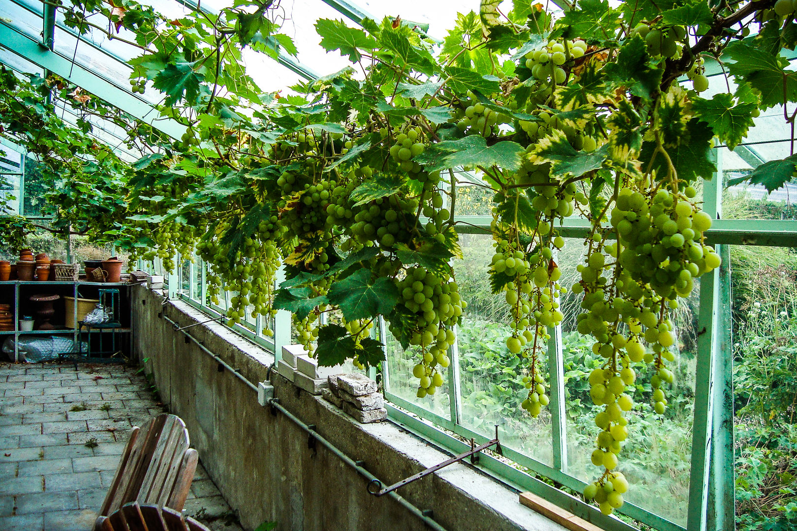 Cultuurhistorie, groenpartners groenpartners Country style garden Greenhouses & pavilions