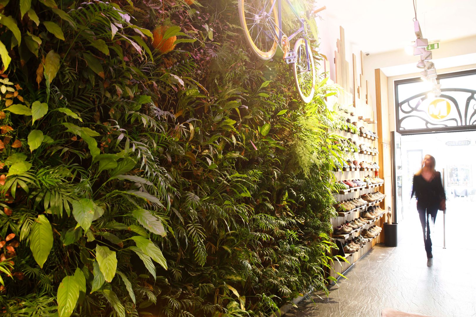 Loja Merrell * Chiado (Rua do Ouro nº277 - Lisboa), LC Vertical Gardens LC Vertical Gardens 商業空間 オフィススペース＆店