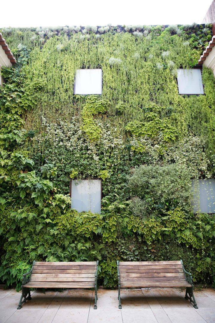 Santiago de Alfama * (Boutique Hotel) - Rua de Santiago 10 a 14, 1100-494 Lisboa, LC Vertical Gardens LC Vertical Gardens Gewerbeflächen Hotels