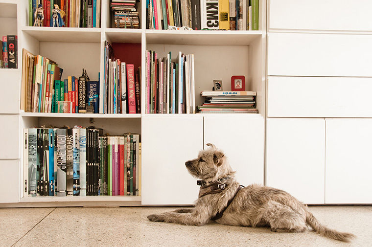 Biblioteca M1, PUNCH TAD PUNCH TAD مكتب عمل أو دراسة MDF Cupboards & shelving