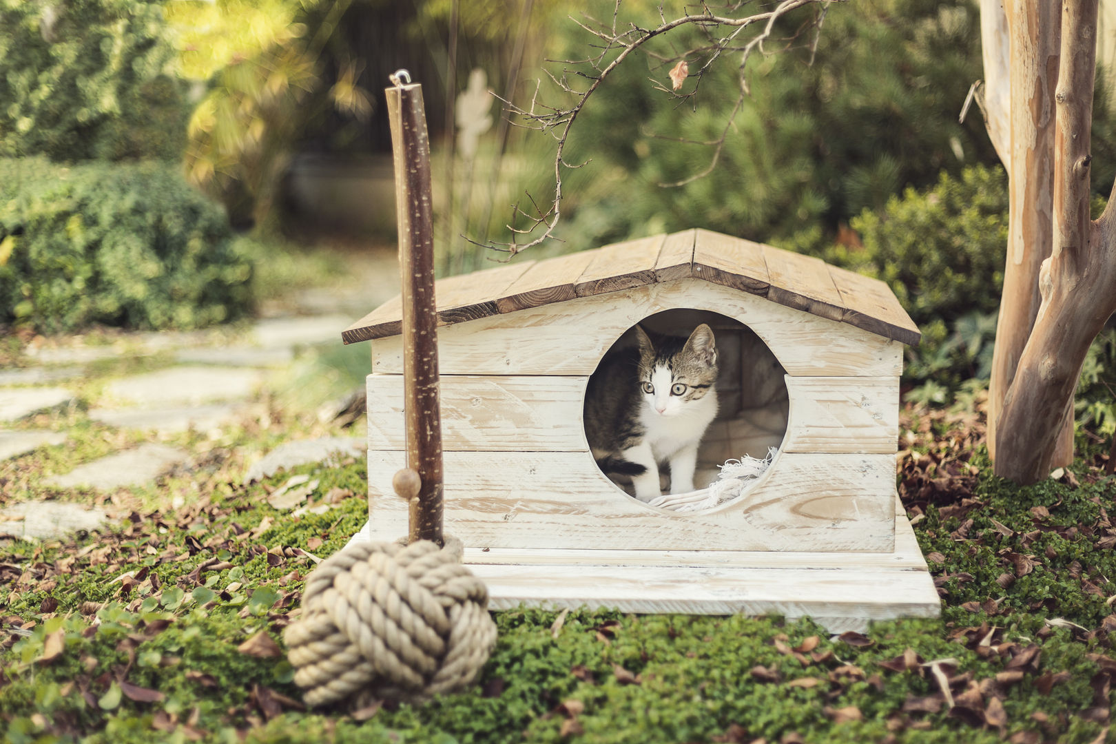 Casa para mascota Atelier de Desseins Recámaras infantiles mediterráneos Madera Acabado en madera Accesorios y decoración