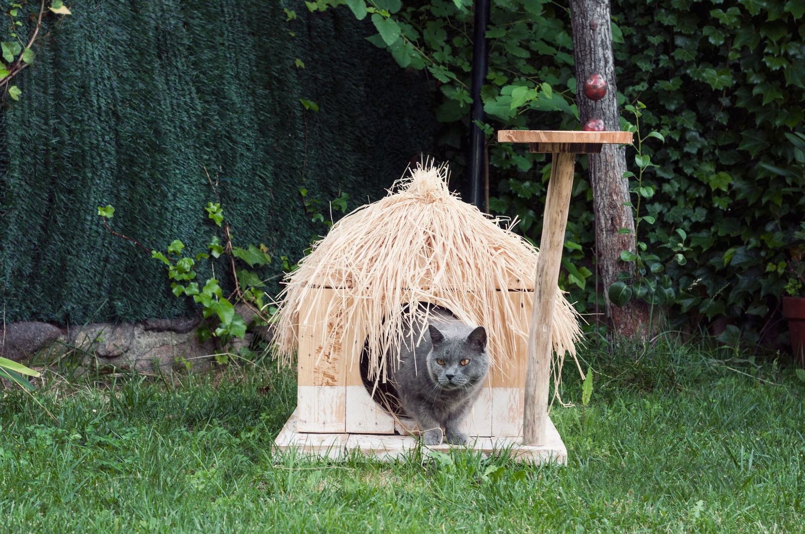 Cabaña para mascotas Atelier de Desseins Jardín interior Madera Acabado en madera Paisajismo de interiores