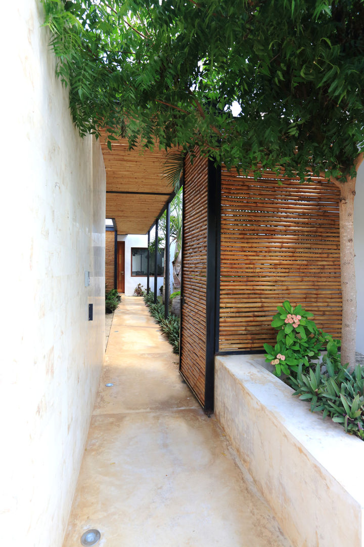 Acceso Peatonal FGO Arquitectura Pasillos, vestíbulos y escaleras de estilo tropical Bambú Verde