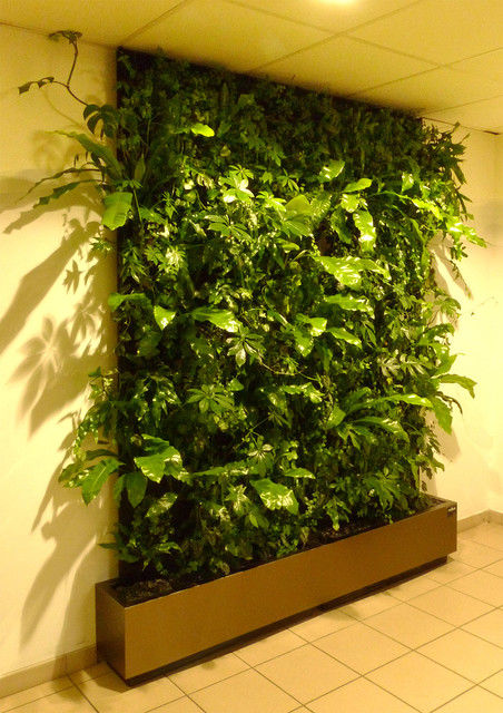 Mur végétal, HYDROSMOSE HYDROSMOSE Eclectic style walls & floors