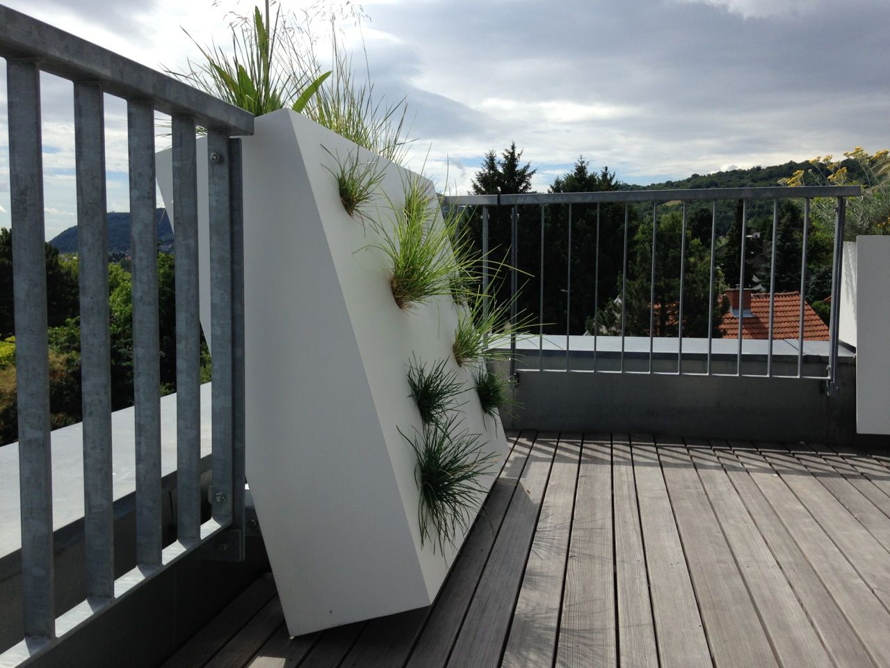 steppe, neubert und fuchs_gartenabteilung neubert und fuchs_gartenabteilung Balkon, Beranda & Teras Modern Plants & flowers