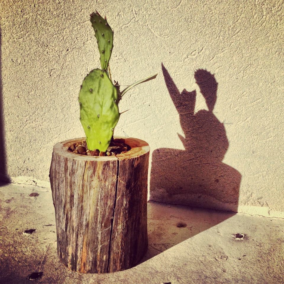 SOPORTES, ciabotanica ciabotanica Varandas, alpendres e terraços modernos Plantas e flores