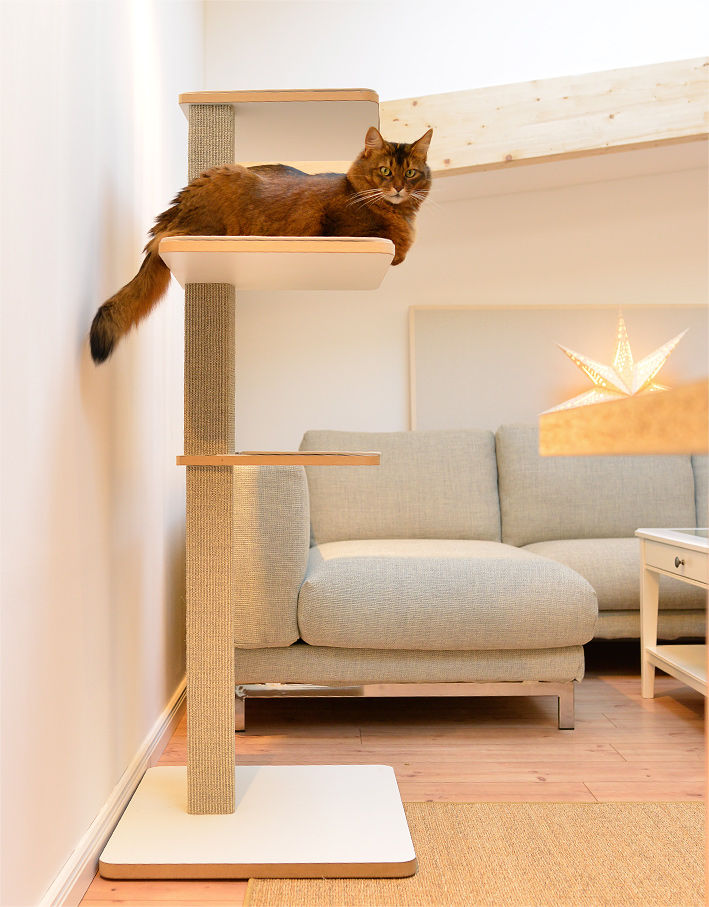 Cool und bequem: moderne Kratzbäume, stylecats® stylecats® غرف اخرى Pet accessories