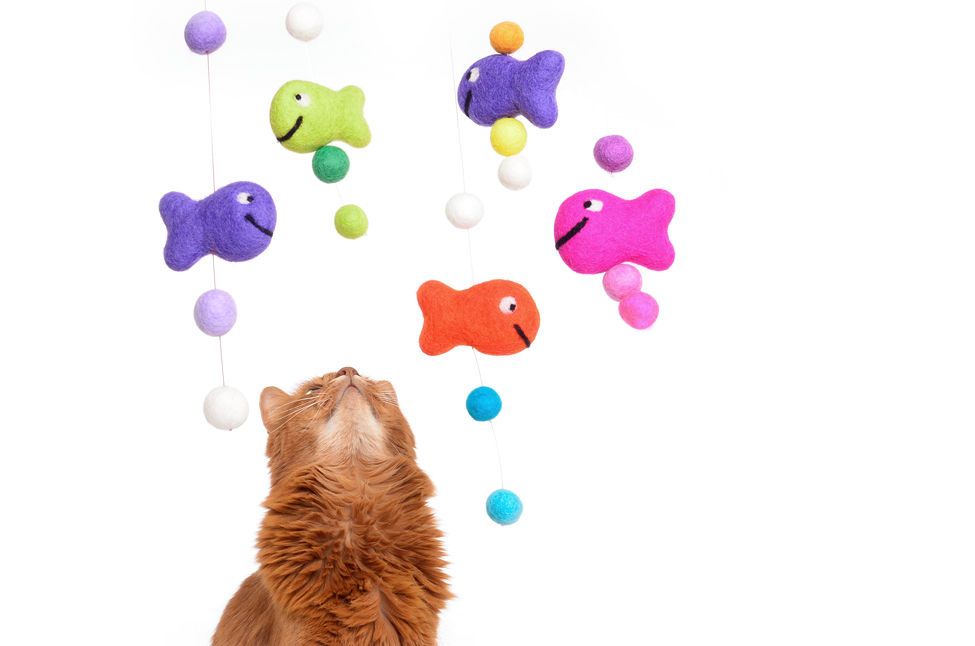 Katzenspielzeug Fang den Fisch, stylecats® stylecats® Autres espaces Accessoires pour animaux