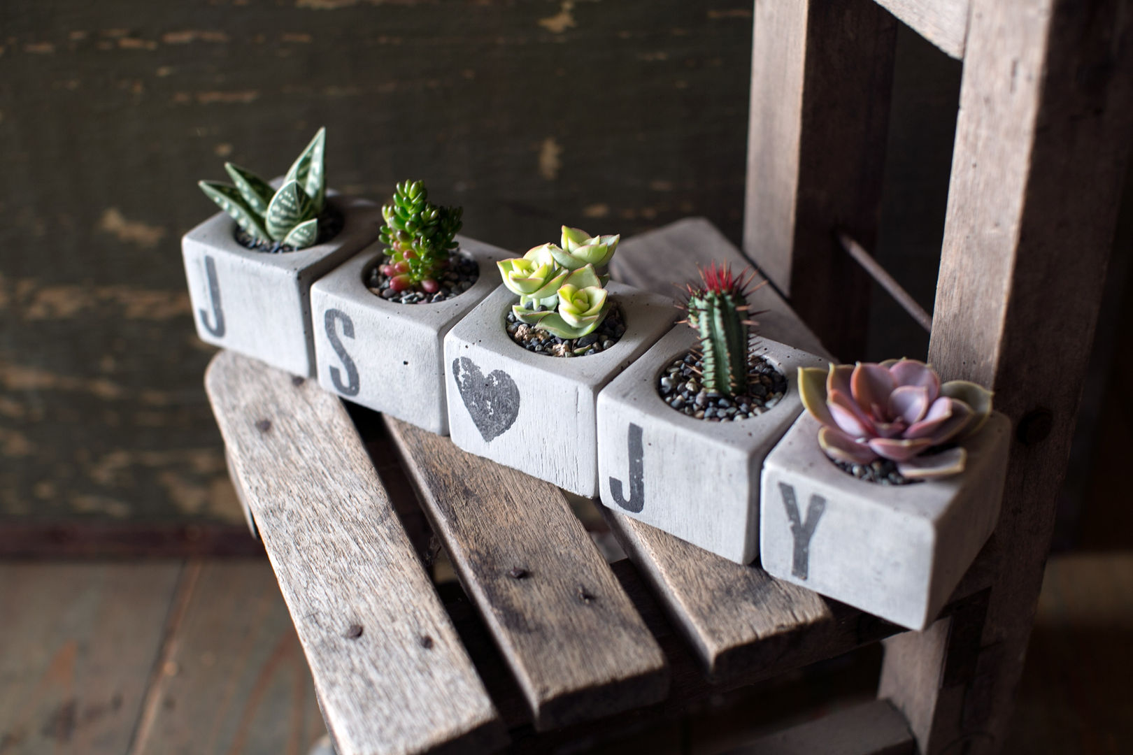 시멘트 미니다육화분 , 러브피어리 러브피어리 Modern garden Plants & accessories