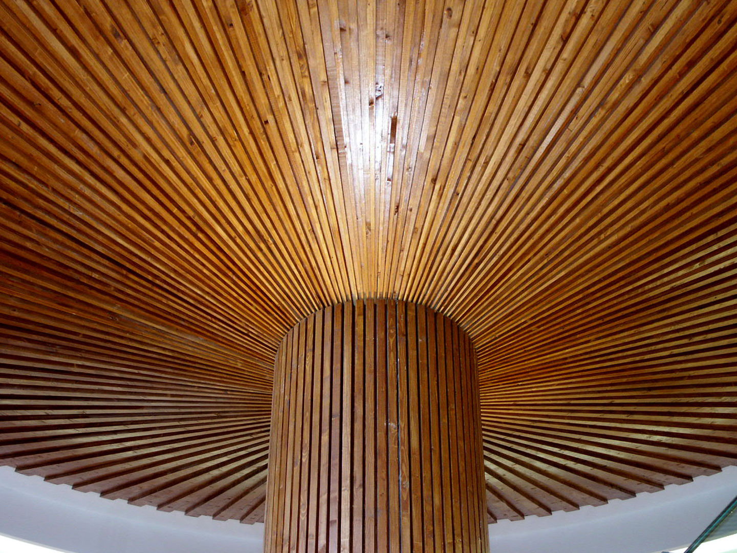 Seta de madera RIBA MASSANELL S.L. Espacios comerciales Madera Acabado en madera Espacios comerciales