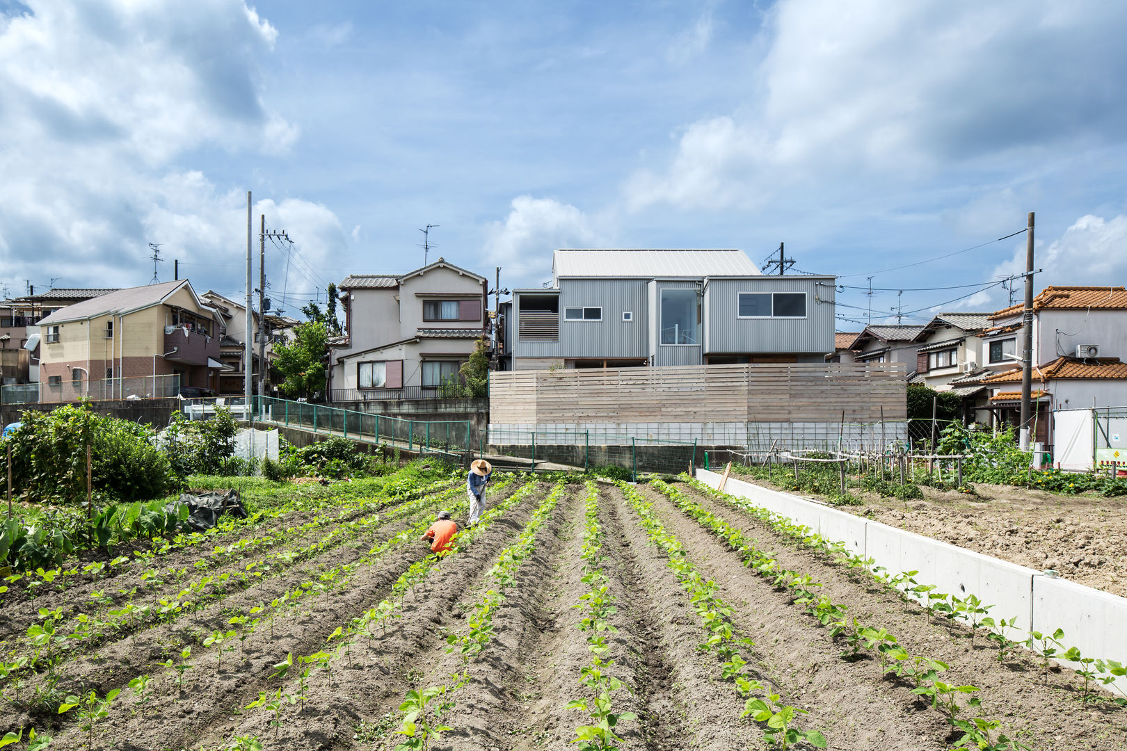 長尾元町の家, 藤森大作建築設計事務所 藤森大作建築設計事務所 Moderne huizen Metaal