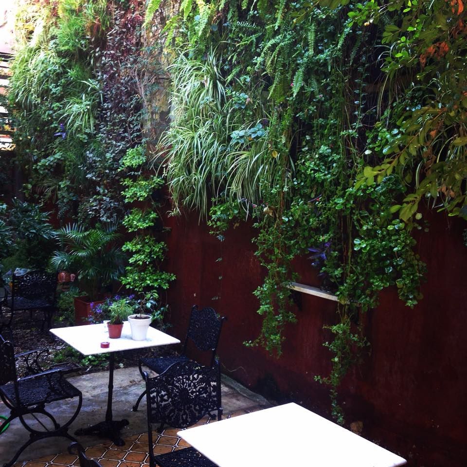Interior de estudio, jardines verticales jardines verticales Vườn phong cách hiện đại Plants & flowers