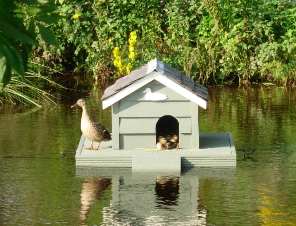 Duck House Roundhouse Architecture Ltd Jardines rurales