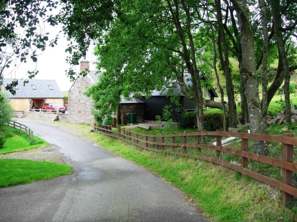 Extension through the trees Roundhouse Architecture Ltd Country style houses