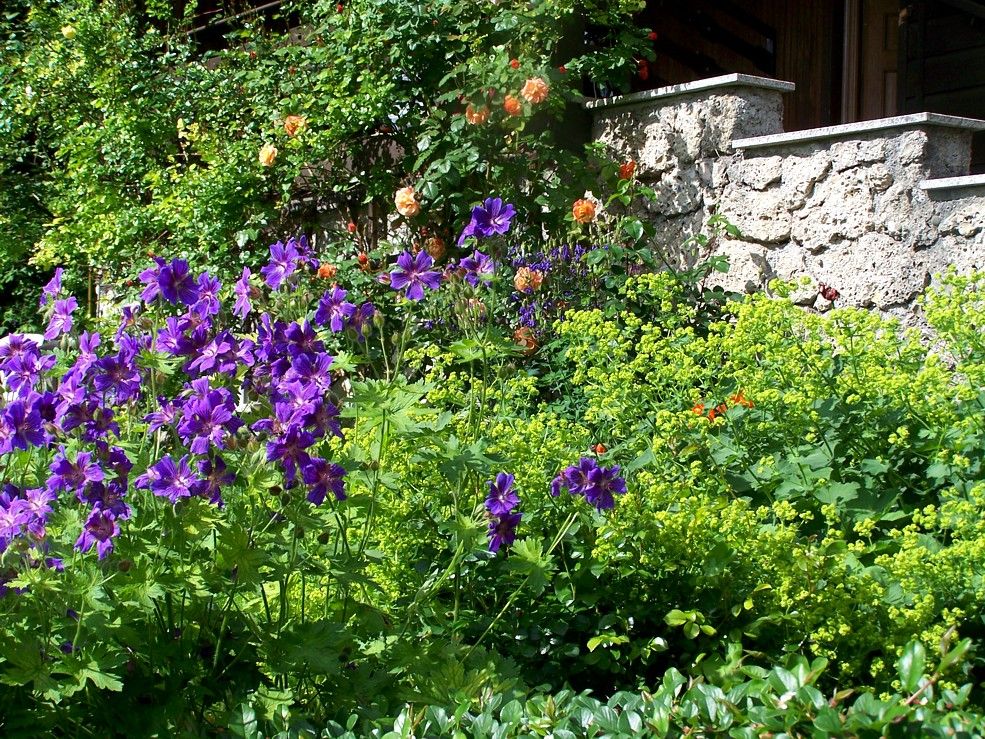 Landhausgarten in Oberbayern, Verena Höhberger Landschaftsarchitektin Verena Höhberger Landschaftsarchitektin Jardines de estilo rural