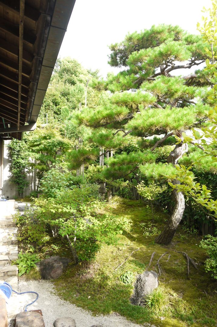 Kawanayama House (Renovation), Sakurayama-Architect-Design Sakurayama-Architect-Design Asian style garden