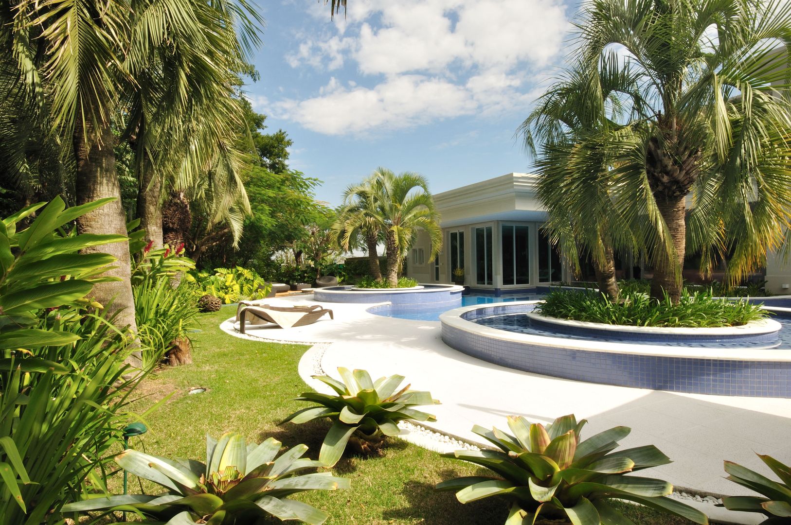 Casa WSC , alexandre galhego paisagismo alexandre galhego paisagismo Tropical style garden