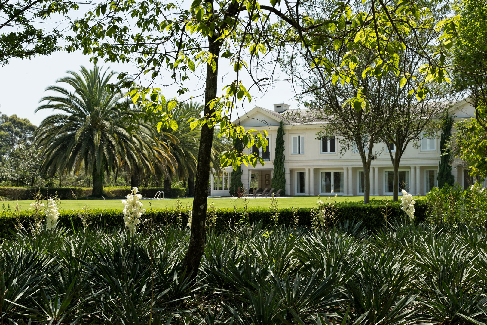 Residência São Paulo 2, Luciana Moraes Paisagismo Luciana Moraes Paisagismo Jardines de estilo clásico