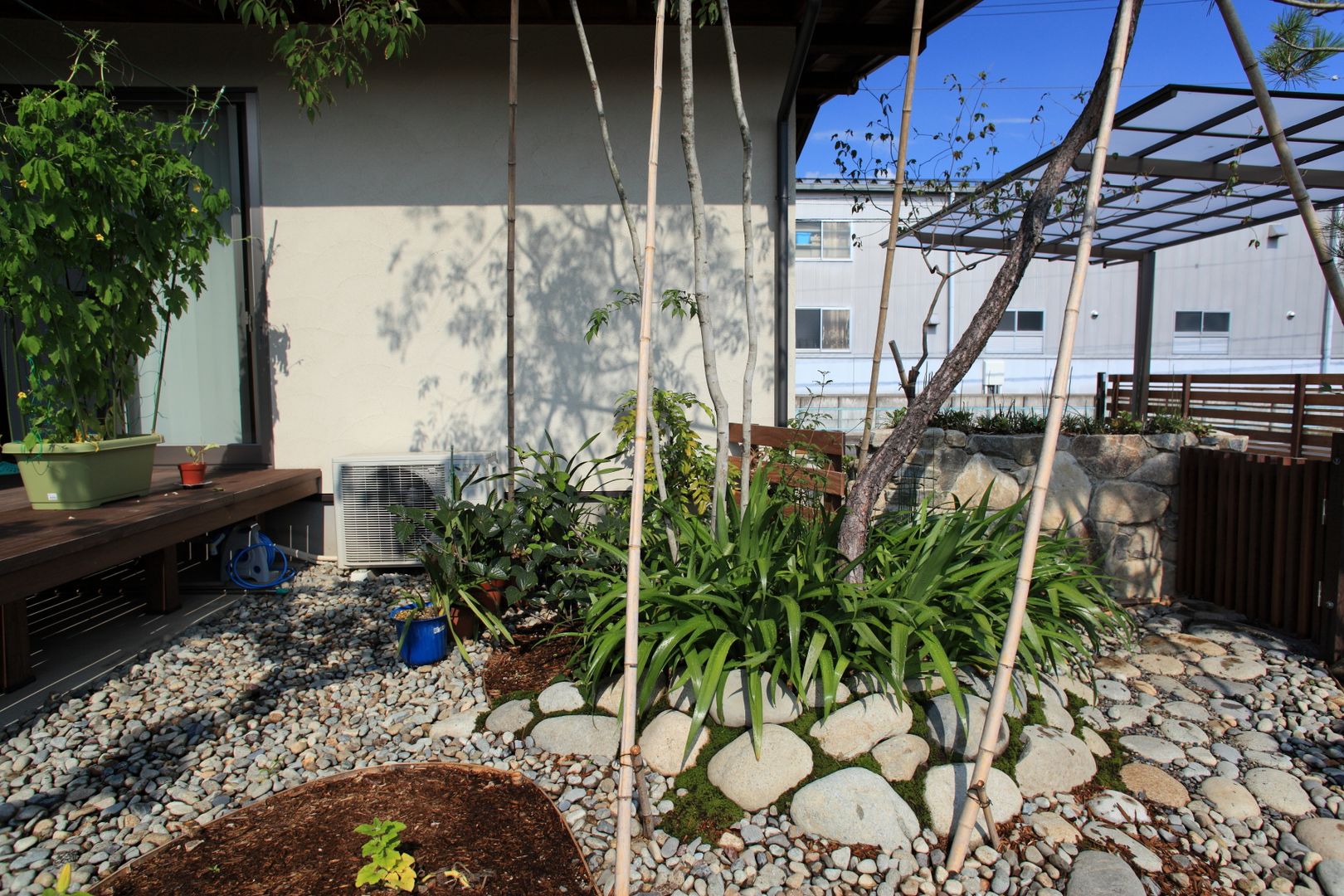 三本松でONな庭, domus domus Jardines eclécticos Plantas y flores