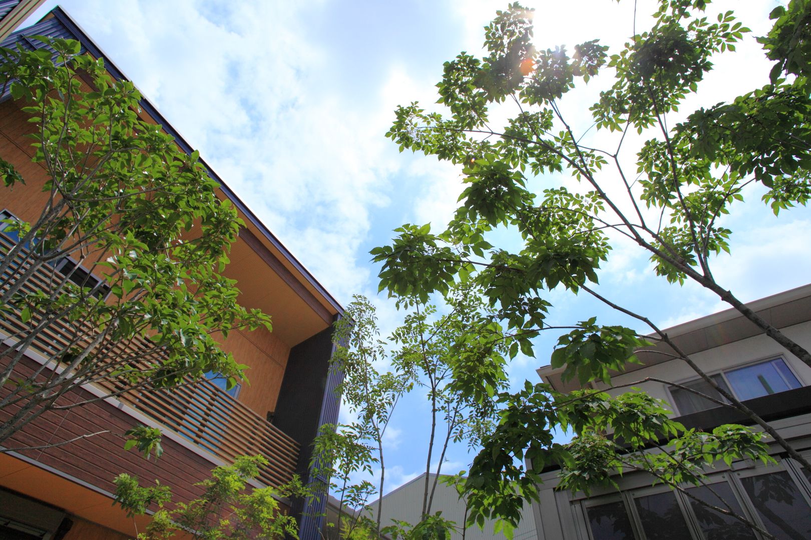 枕木木の庭, domus domus Jardines de estilo ecléctico Plantas y flores