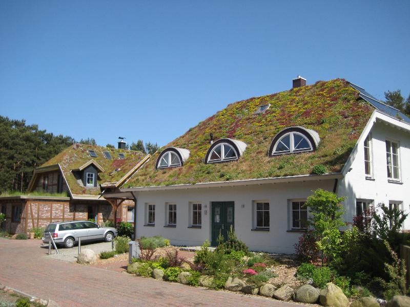 Gründächer - Dachbegrünungen, Natur & Heim GmbH Natur & Heim GmbH Houses