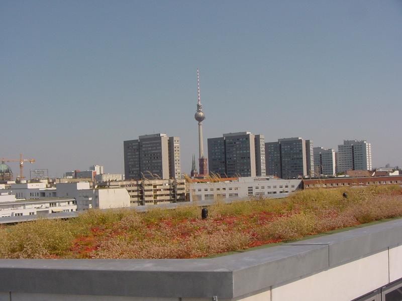 Gründächer - Dachbegrünungen, Natur & Heim GmbH Natur & Heim GmbH İskandinav Evler